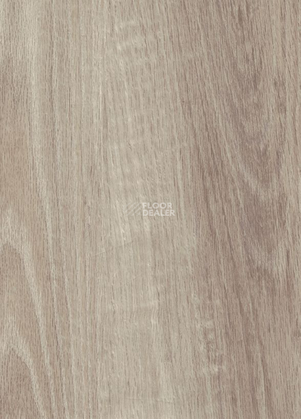Кварцвиниловые полы Vertigo Trend / Wood 3101 CASHMERE OAK 184.2 мм X 1219.2 мм фото 1 | FLOORDEALER